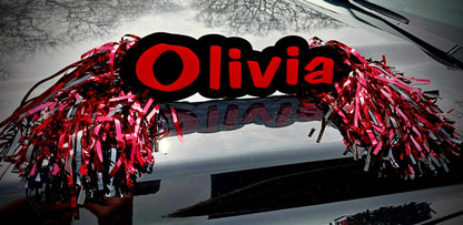 Custom Spirit Rods Personalized Cheer Signs for Pep Rallies & Game Day