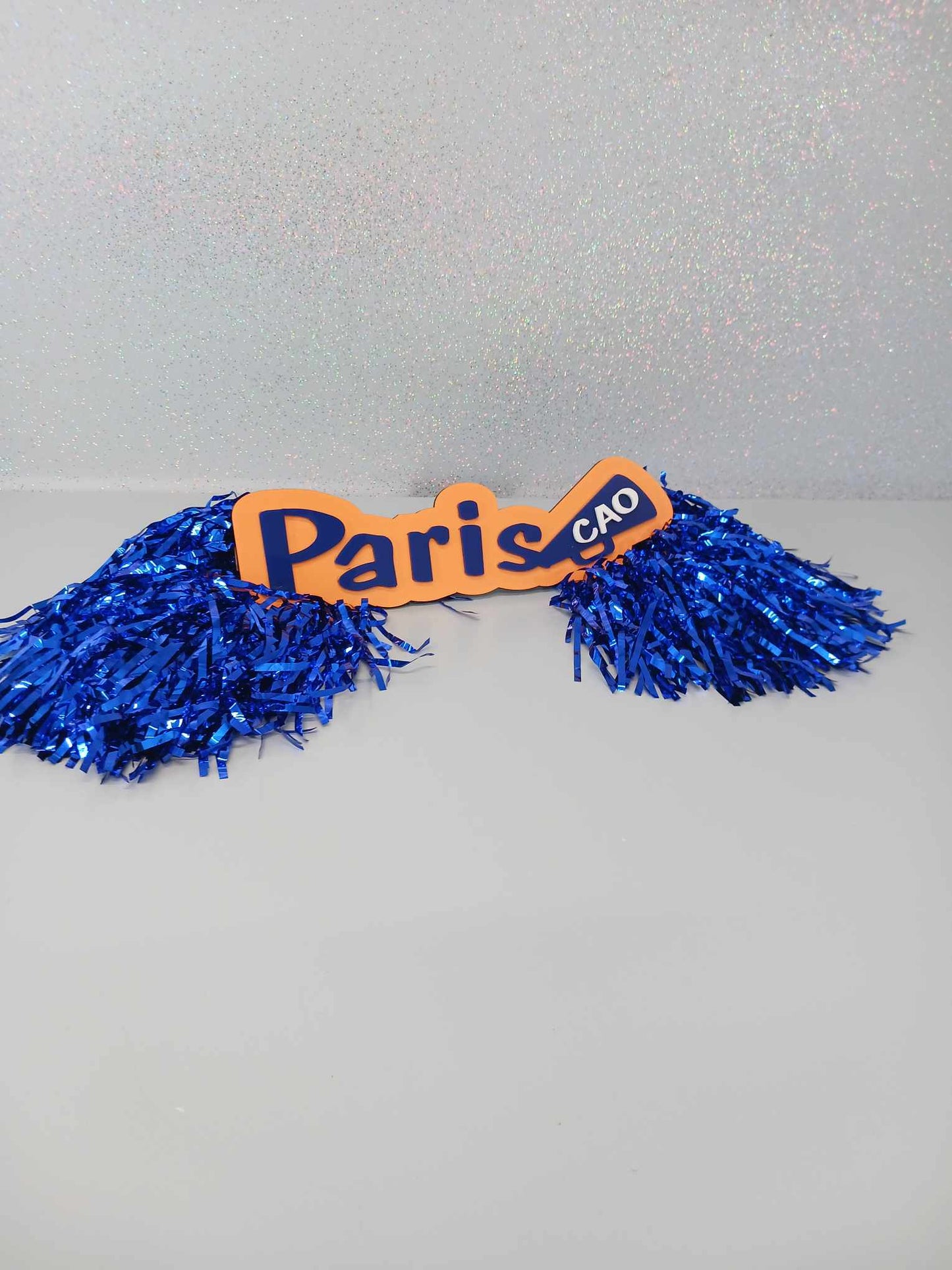 Custom Spirit Rods Personalized Cheer Signs for Pep Rallies & Game Day