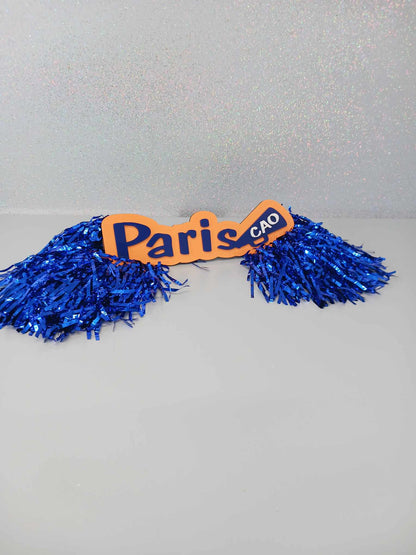 Custom Spirit Rods Personalized Cheer Signs for Pep Rallies & Game Day